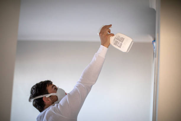 Best Commercial Mold Removal  in Rosedale, MD